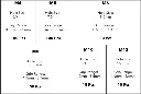 Label KIT-LF-FHB.jpg