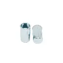 Reduced Head, Round Body (Knurl), Closed End M10 Rivnut (Steel)
