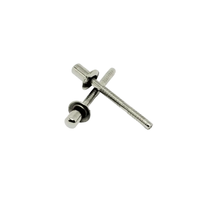 [PT-BR-DH-4.8x8-SS3/SS3] Stainless Steel 304 / Blind / Dome Head / 4.8mm Rivet (8mm, Stainless Steel 304 / Stainless Steel 304)